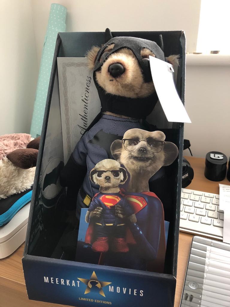 meerkat movies teddy